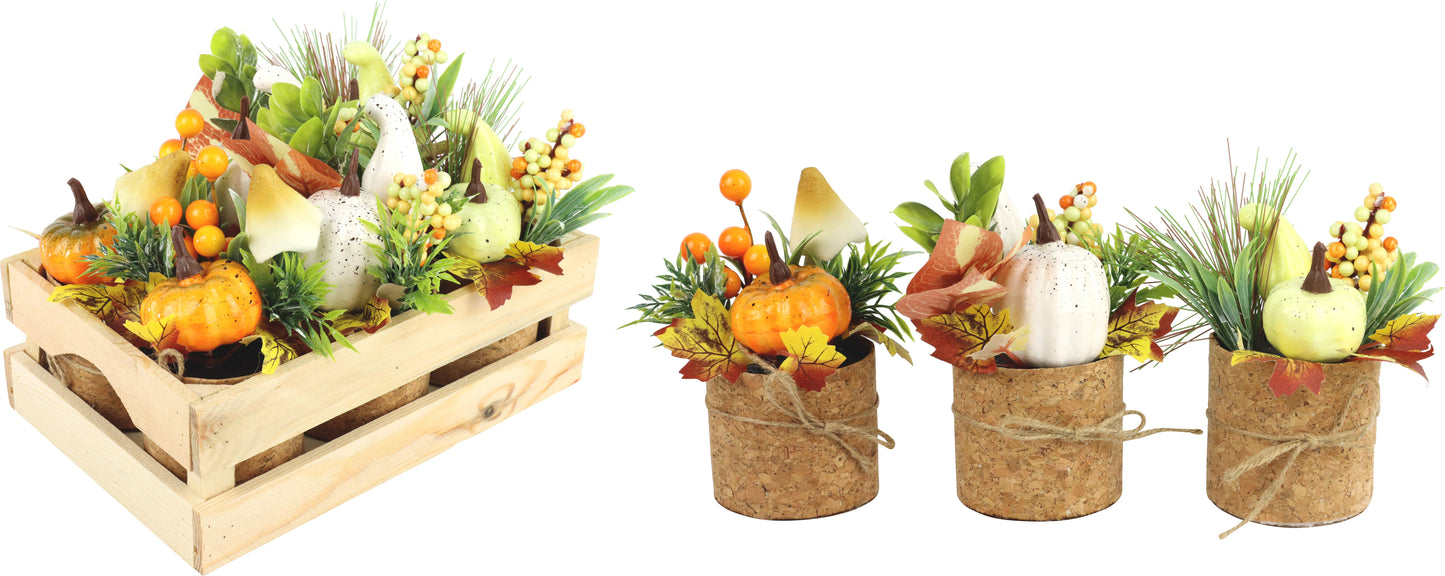 Bouquets in Kiste Pumpkins 6er Set